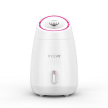 Load image into Gallery viewer, Fruit And Vegetable Steamed Face Device Home Beauty Equipment Nano Spray Water Meter Facial Whitening Humidification