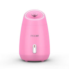 Load image into Gallery viewer, Fruit And Vegetable Steamed Face Device Home Beauty Equipment Nano Spray Water Meter Facial Whitening Humidification